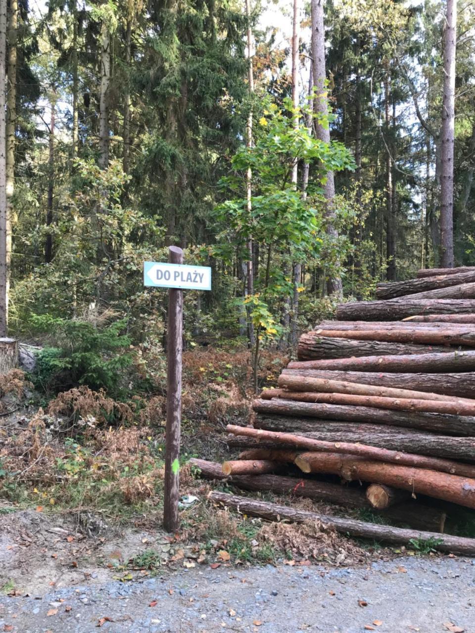 Domki Skowronki Kąty Rybackie Eksteriør billede